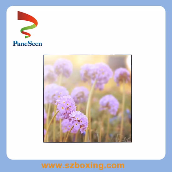 33.2 Inch Square IPS 1920X1920 Resolution 1: 1 Ratio 500CD/M2 with Android System Embedded Beauty /Makeup/Cosmetic Products Advertising LCD Display